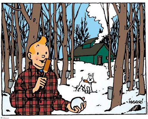 Au Québec avec Tintin