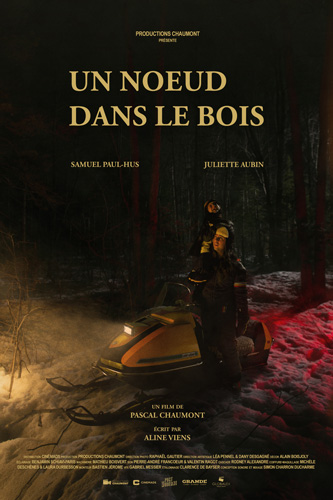 Un noeud dans le bois