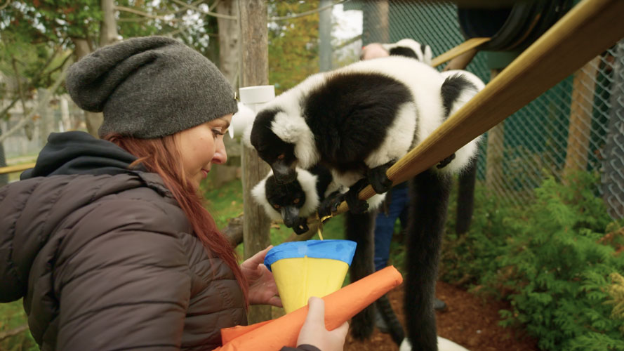 Un zoo pas comme les autres, saison 6