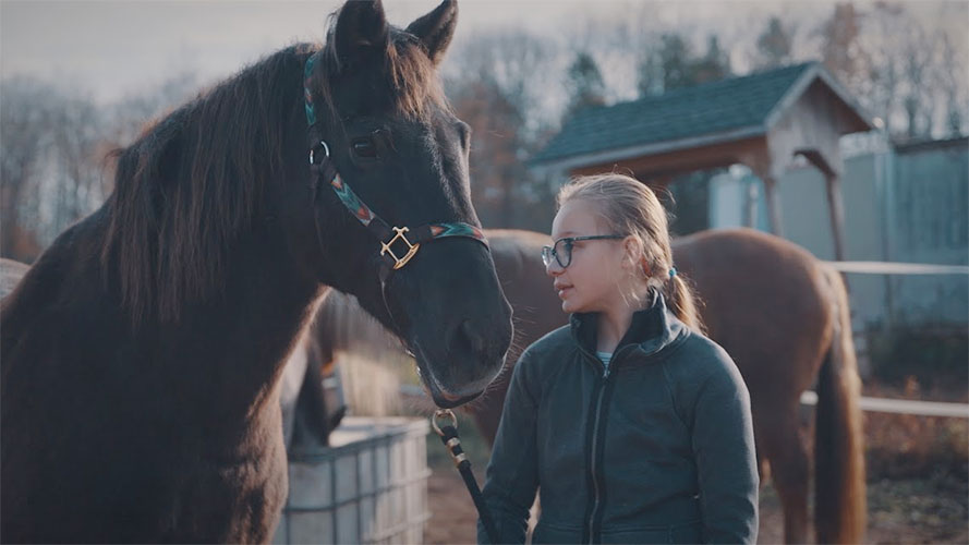 Ces animaux qui nous veulent du bien (saison 2)