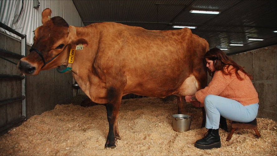 Chloé Savard, alias @tardibabe