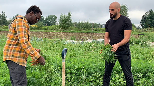 «Immigrants de souche»