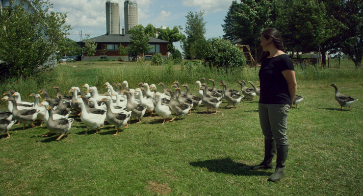 La ferme et son État