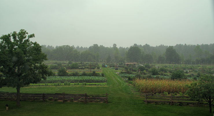 La ferme et son État