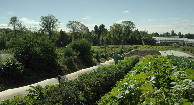 La ferme et son État