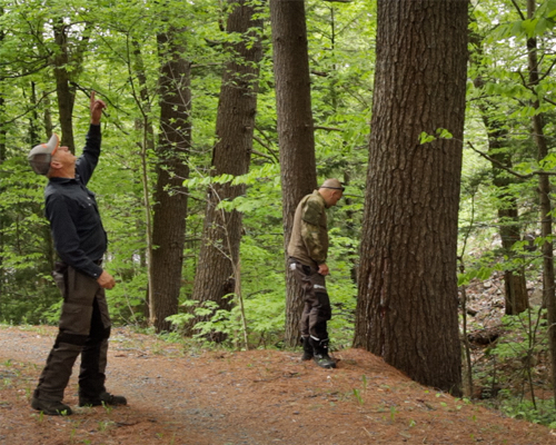 Roger Lecot et Charles Robitaille (Code Forestier)